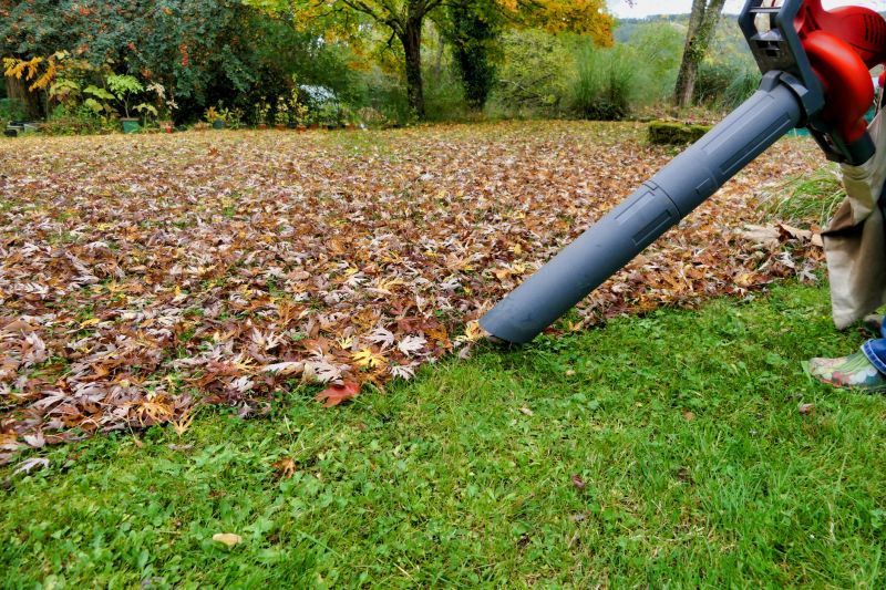Professional Equipment for Leaf Clearing