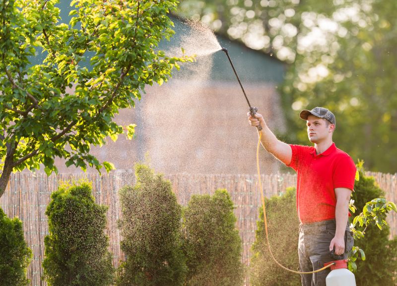 Spanish Moss Treatment in Reno, NV