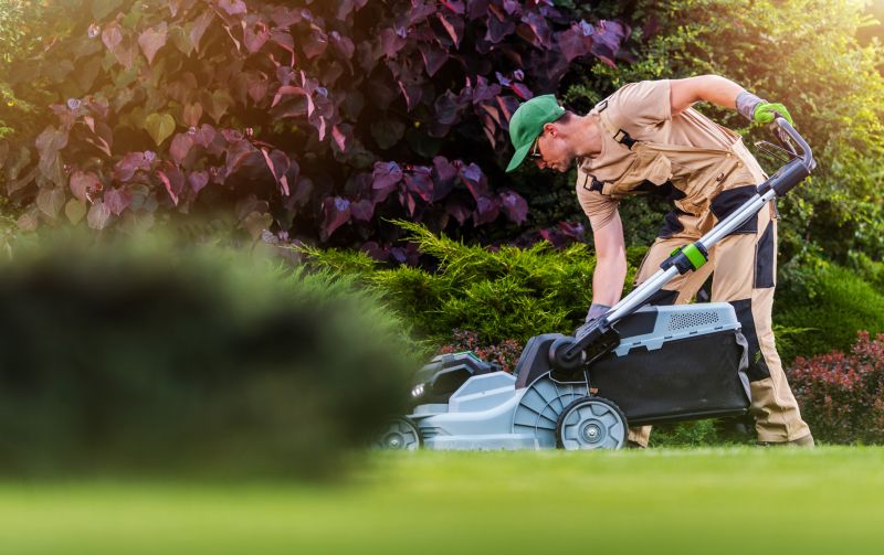 Full-Service Lawn Care Providers