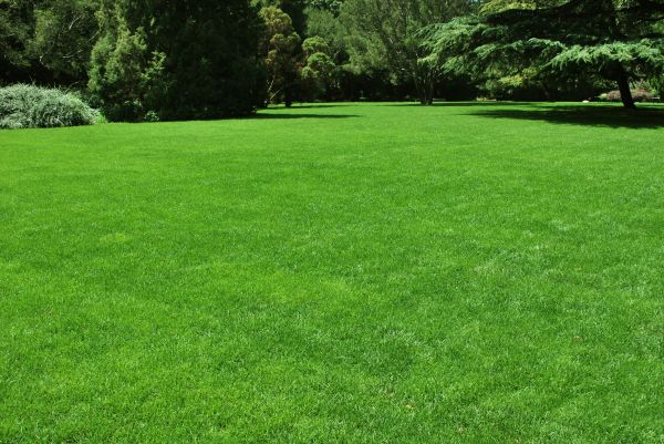 Grow your Lawn Landscaping business
